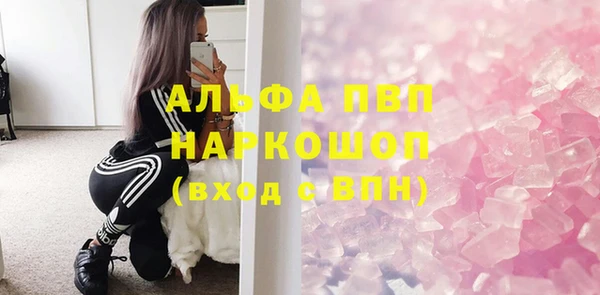 стаф Белокуриха
