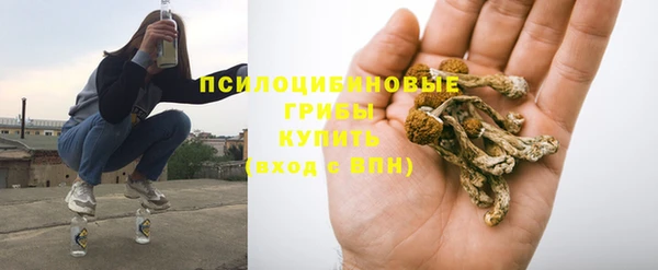 стаф Белокуриха