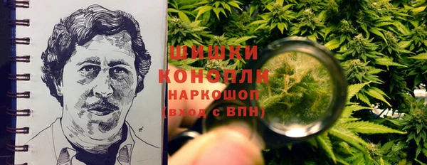 стаф Белокуриха