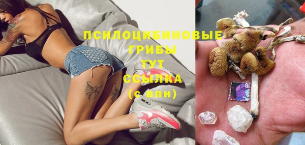стаф Белокуриха