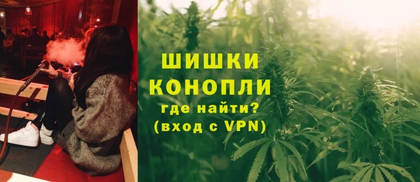 стаф Белокуриха