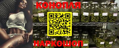 гидра Камышлов