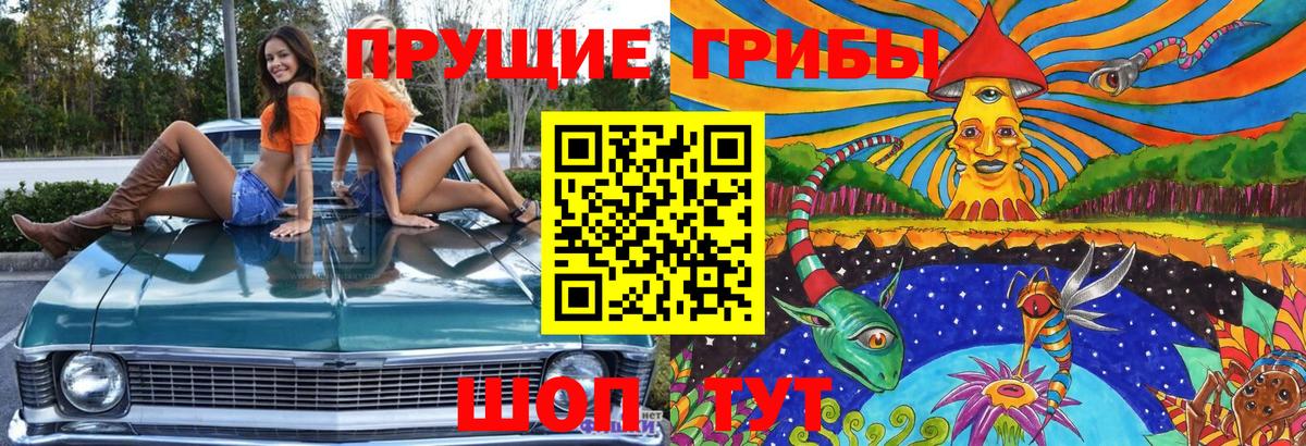 купить наркотик  Вход с VPN  Кстово  Псилоцибиновые грибы мухоморы 