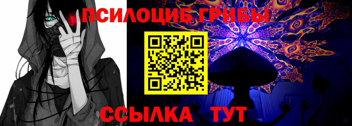 Псилоцибиновые грибы ЛСД Кстово